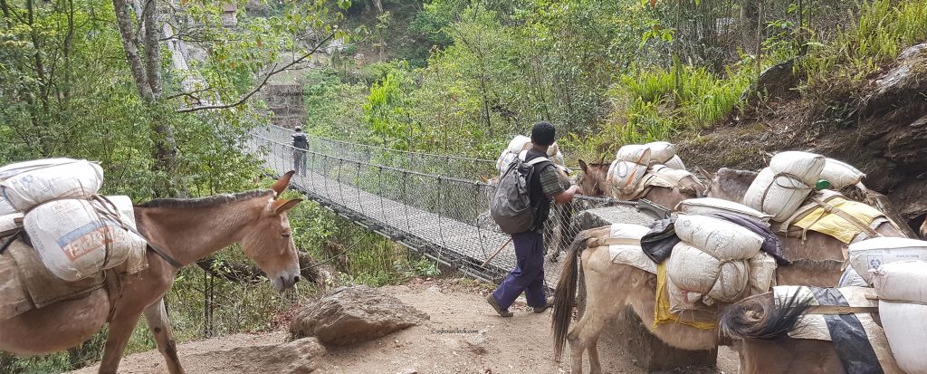 Crossing the Dudh Kosi